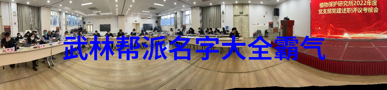 逆袭之王他是如何从无名新人到业界猛将的