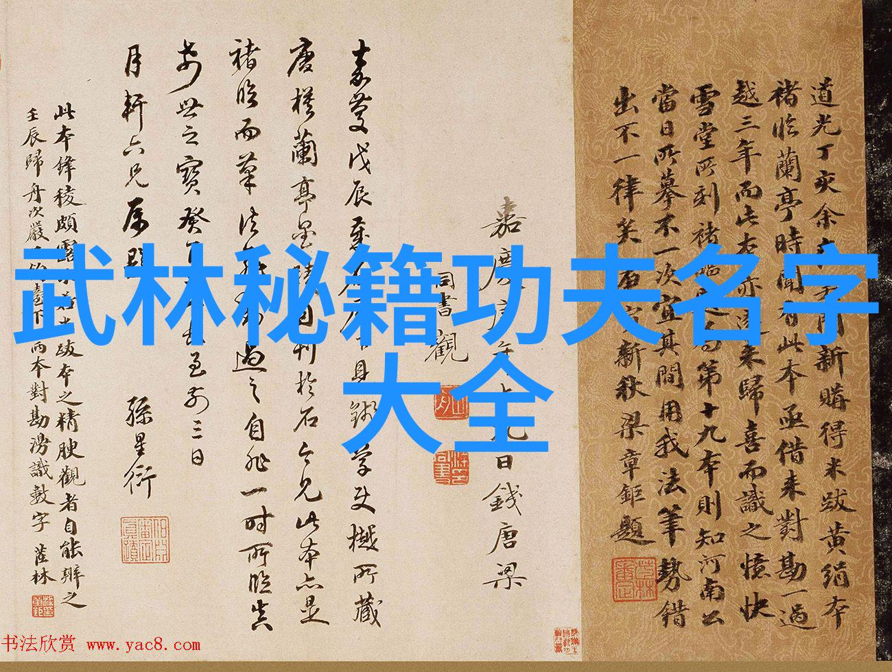 中国武学巨擘千年宝典的传承者