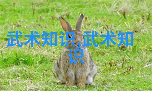 小说里好听的宗门 - 幽冥宗的歌声揭秘小说中那些美妙的修炼场所