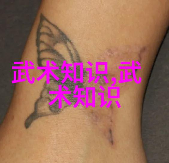 会武术的人很危险-掌门人的隐忧武林之道与人心的双刃剑