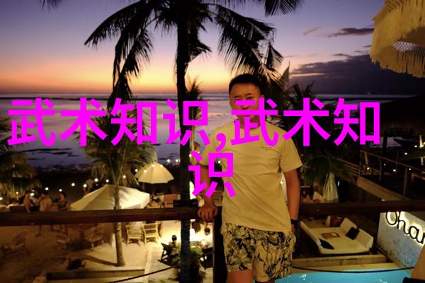 武林秘籍全集揭秘各种武功的图解指南