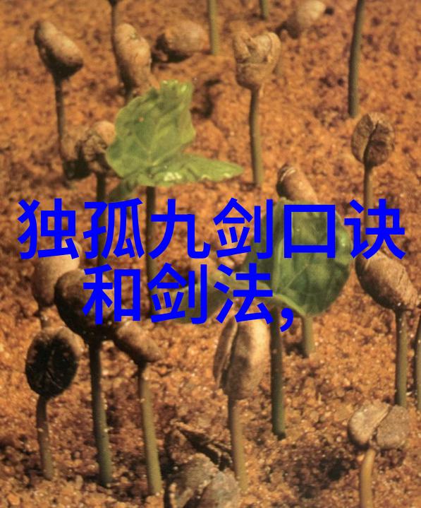 国产精成人品高质量生活的选择