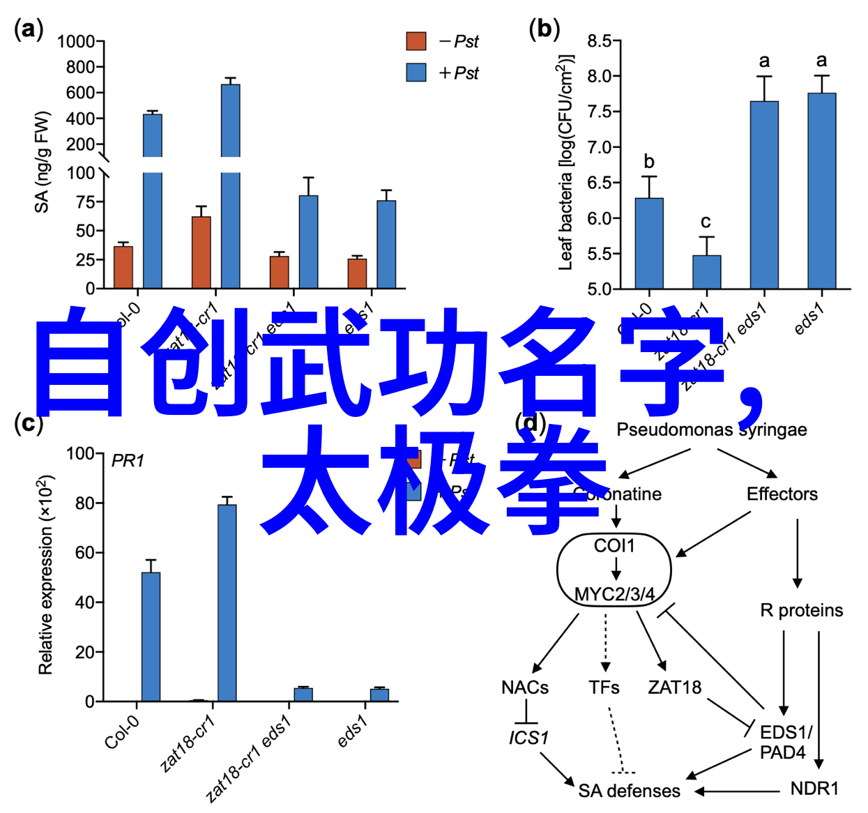 突然有一天世界停摆记忆中的那个无声的黎明