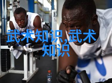 24式太极拳神秘眼界