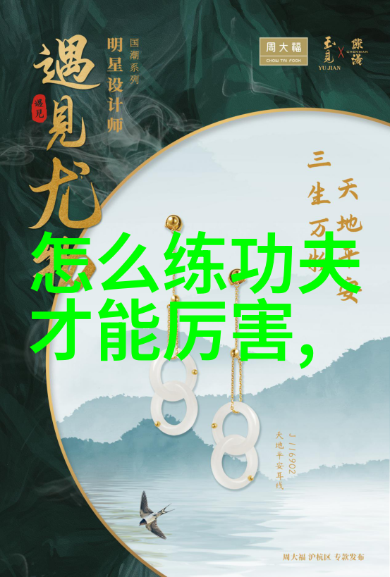 武功自学教学视频精准掌握内功与外功技巧