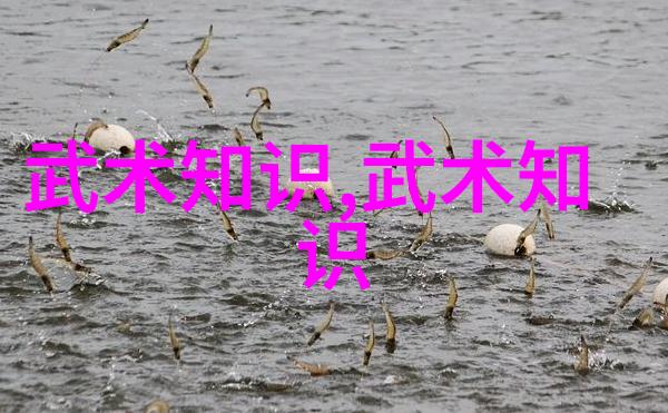 武术 - 掌握千变万化功夫大全招式拳法的精髓探究