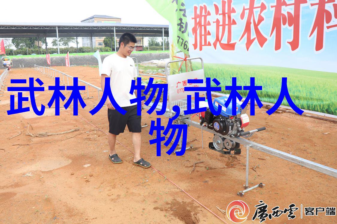 武林秘谱龙虎山桃花岛青龙派百花谷的传人