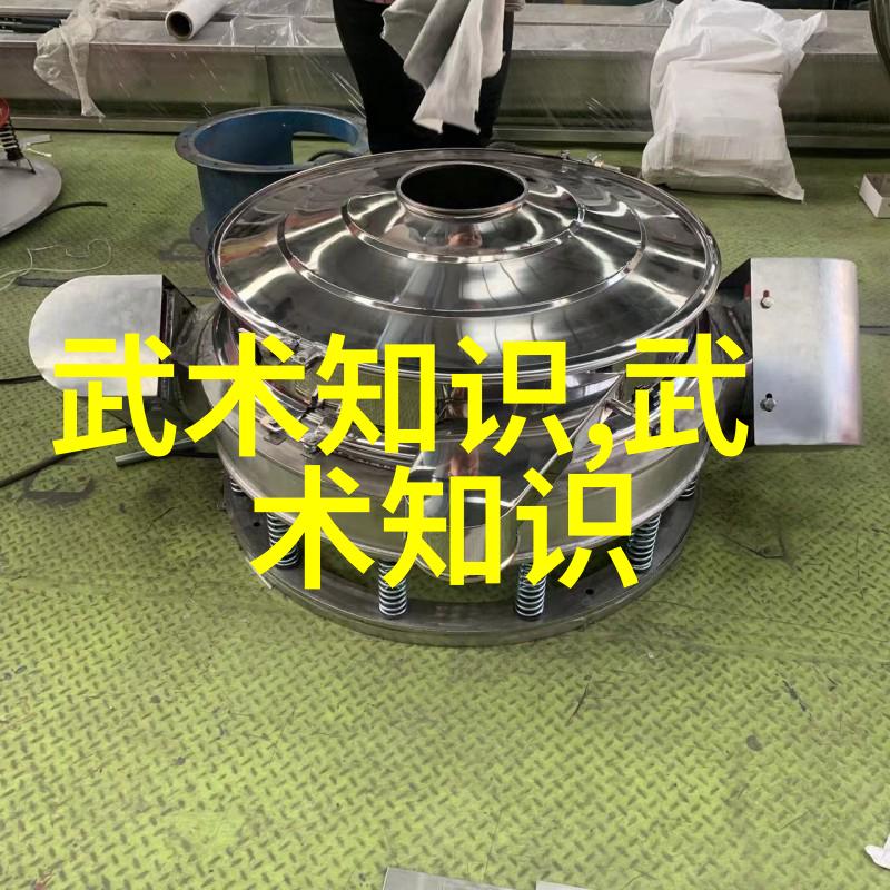 松开的掤劲张志明探讨武功与武术在社会中的差异