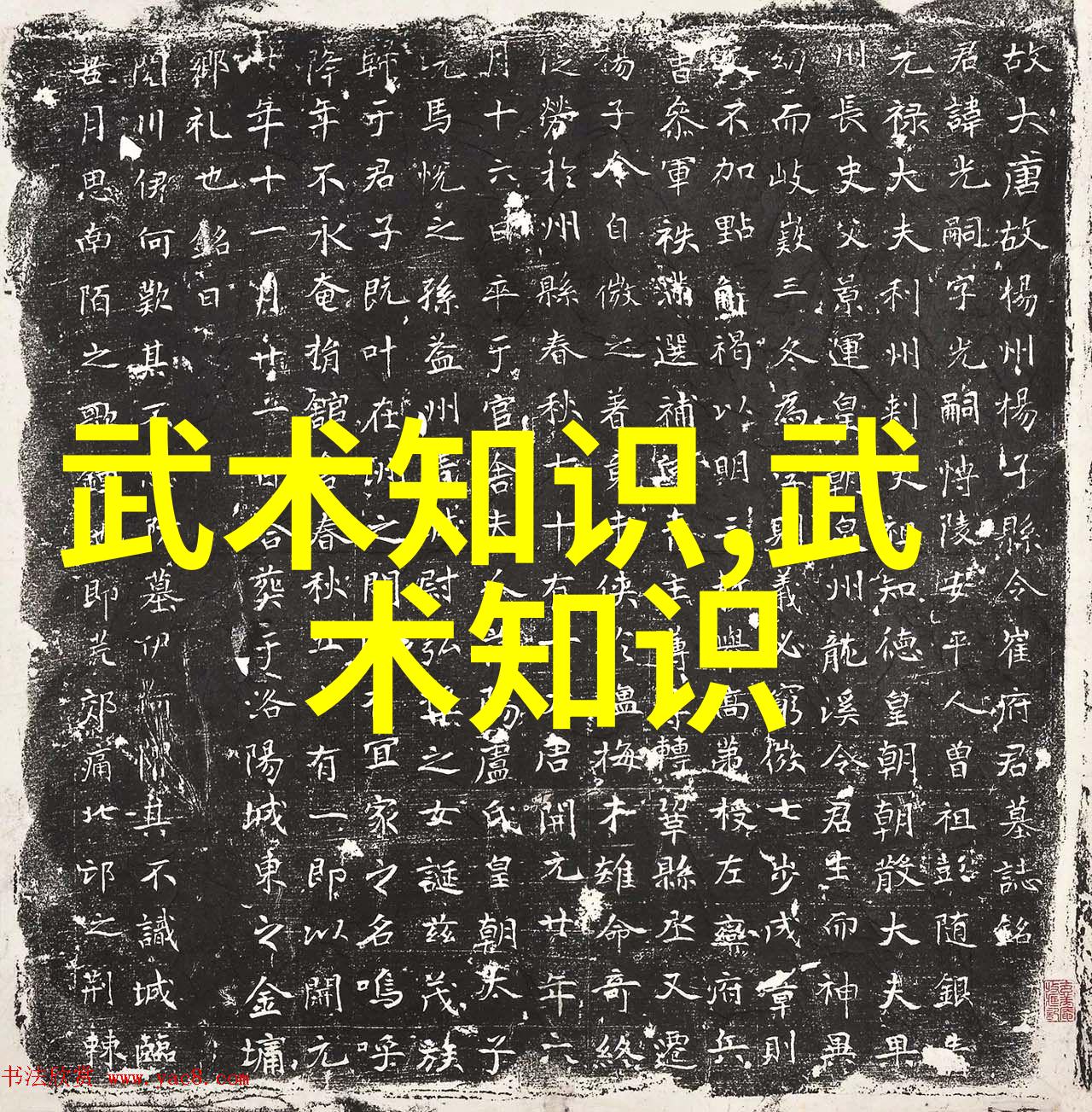 探索第七式下盘保持平衡的艺术