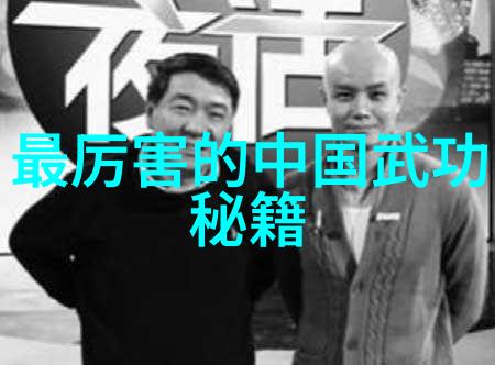金庸笔下绝世神功排名磨步与碾步应有区别仿佛一位武林高手在细腻地品鉴着每一种内功的精华