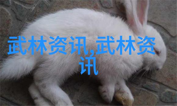 中国武术的拳法之美千变万化的艺术魅力