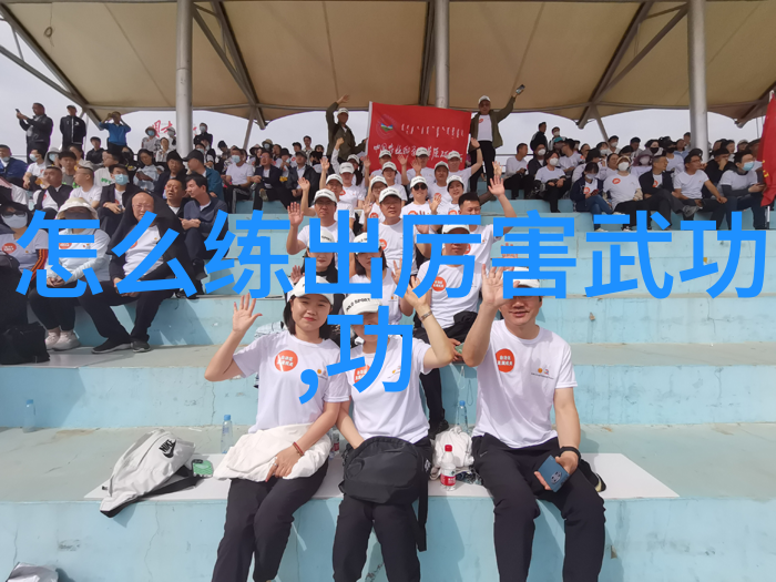 哪一门中国功夫能与太极拳和书画相提并论真正有实战价值