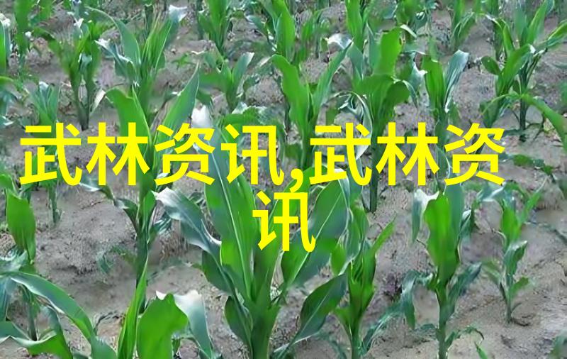 嫡妃不好惹宫廷斗争中的权力与情感纠葛