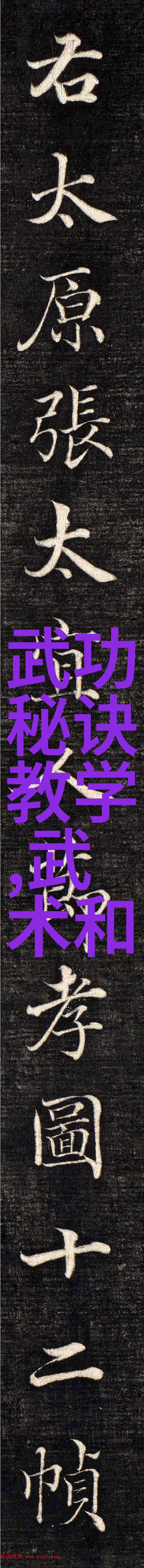 苏州医疗器械中的瑜伽球女人的秘密武器