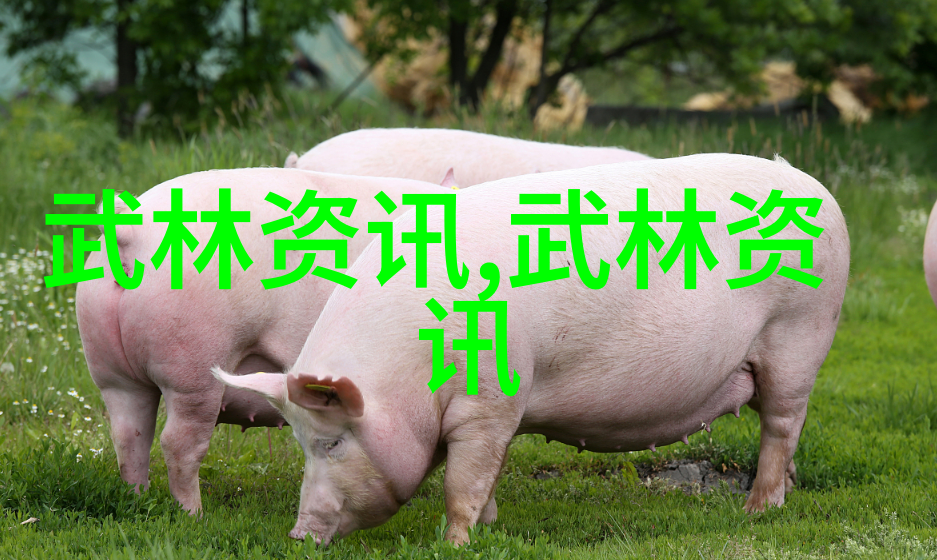 进口大众高尔夫加速怀特内尔冲刺183位潘政琮跃升132名