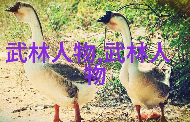 欧式禁忌1984我在时间的长河里寻找那抹被遗忘的红色