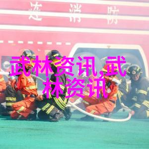 奥运会排球风采北京队在全国联赛中败给上海队技术失误显著