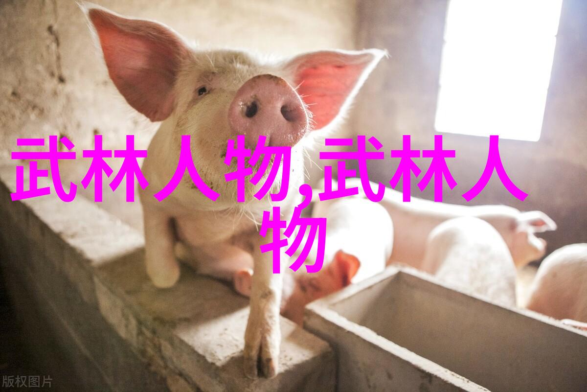 武林秘籍揭秘少林寺最隐秘的拳法之术