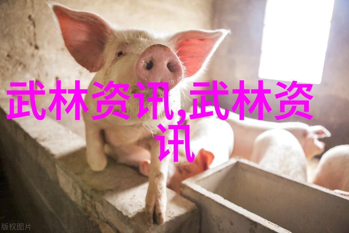武林秘籍大全揭秘古今神功之谜