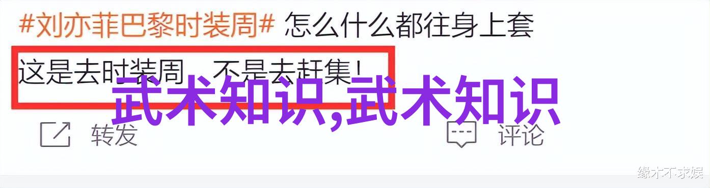 在家练武术的精髓提升实战能力的秘诀