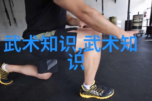 王文贤探索武术的12个基本动作太极拳套路核心要素的反复体现