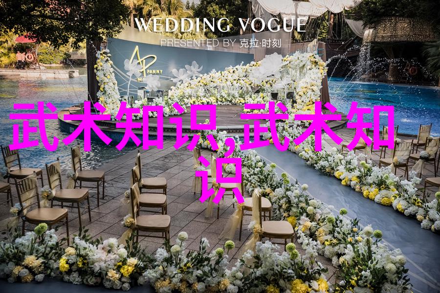 太极拳24式图解深度解析探索内外相应的武术艺术