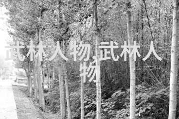 武林探秘-揭秘武林门派从内功到外法的辨识之道