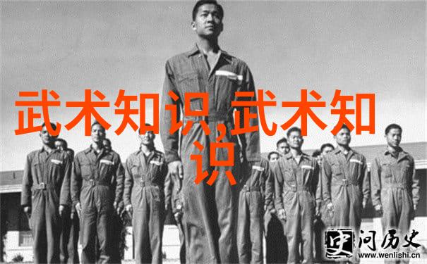 幻梦仙盟遥寻星辰的和谐