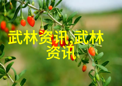 武林秘籍大全探索古代武学遗产与修炼艺术的全集
