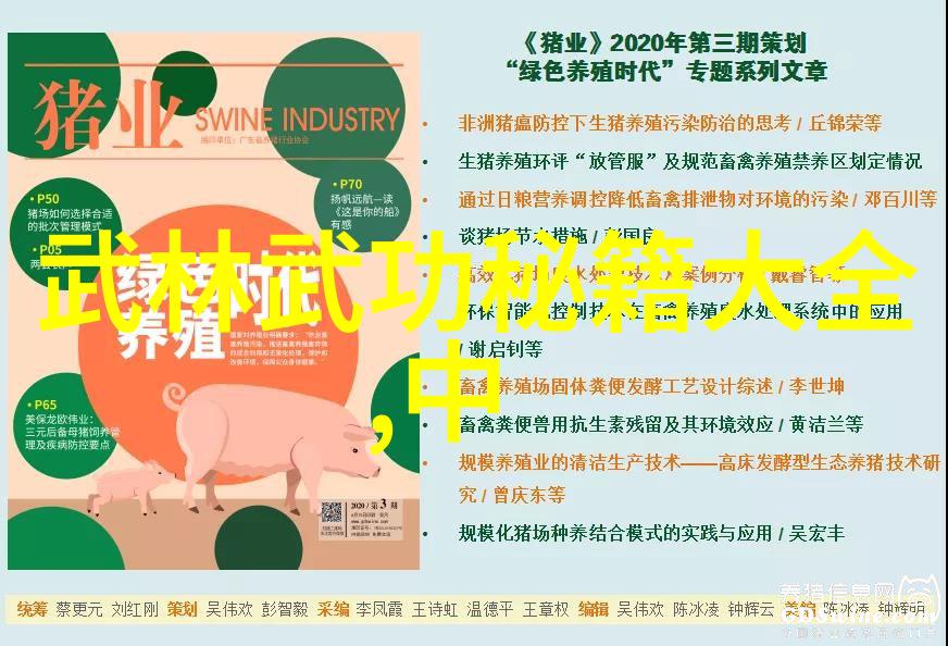 拳影遮天揭秘世界上最狠的拳法