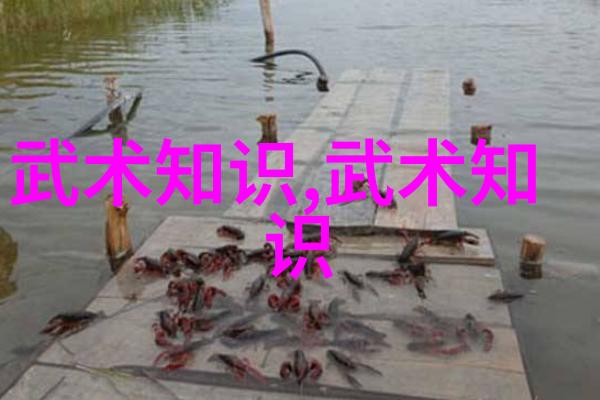 笑声连绵逗比五人团队的欢乐征程
