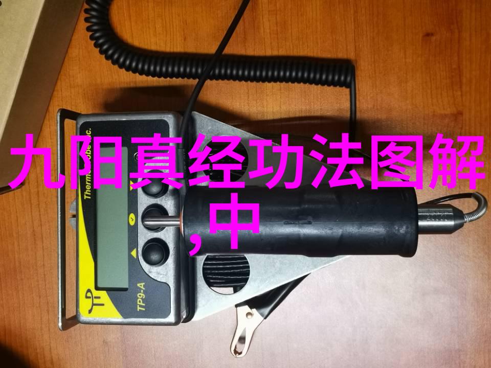 揭秘全国武术门派探索中华武学的宝库