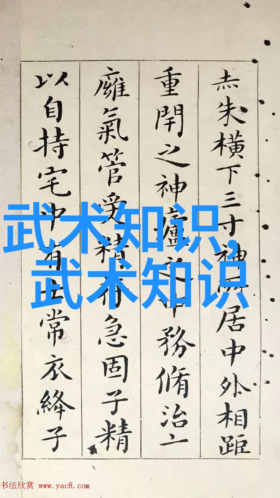 致命一击国际打斗艺术中最具破坏力的技巧
