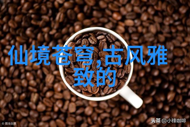 美式橄榄球激战SANZAAR革新电视裁判系统