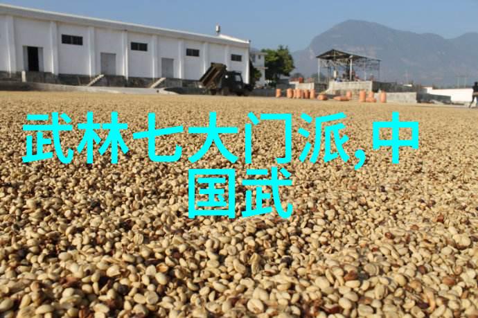 从唐到清一代代英雄辈出历史上的著名高手和他们所习之美腿拳系统介绍