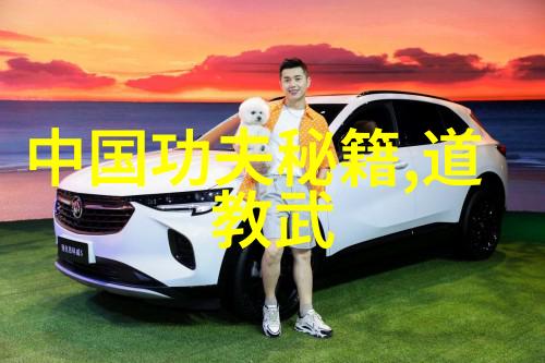 一夜之间掌握轻功秘诀速度与灵活性的双重训练