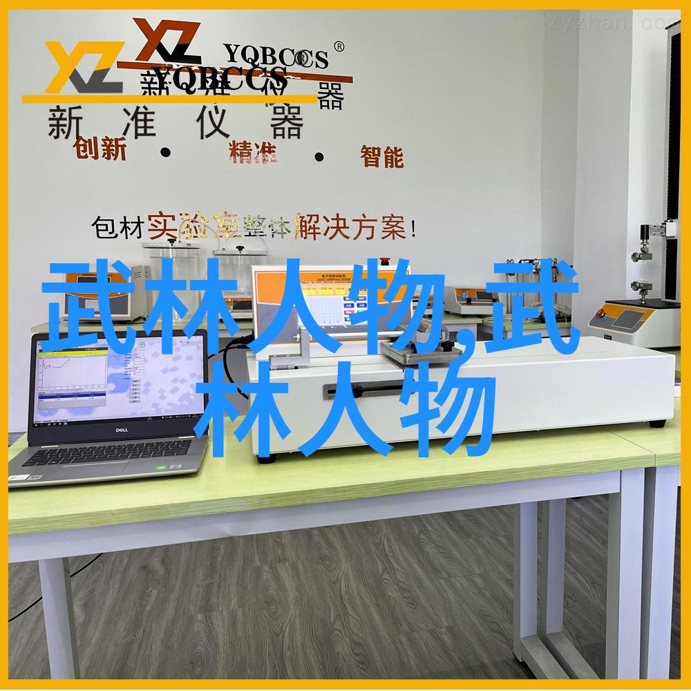 武术盛世探索中华武术活动之美