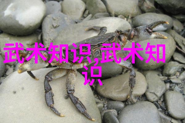 24式太极拳分解动作教学揭秘气功之谜