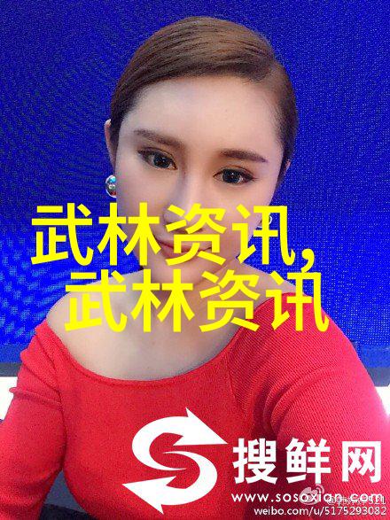 家风拳艺源自中国十大巅峰武术传承千年的功力与魂灵