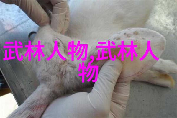 欧美私人家庭影院我家的影院从普通客厅到电影天堂