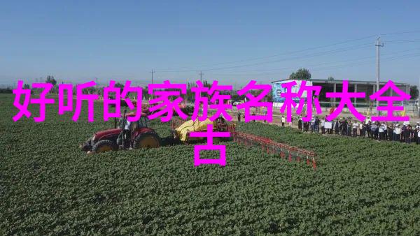 星河之巅的幽梦盟