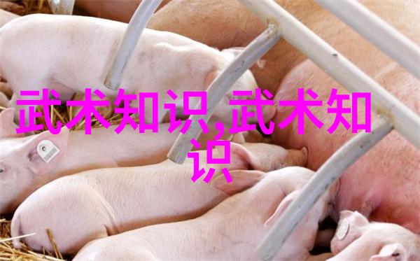 武术的意义