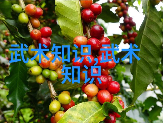 仙盟探秘我心中的好听仙盟名称幻境守望者