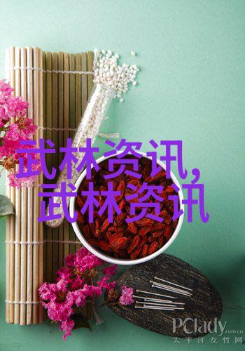 古龙四大绝世神功之宗岳太极拳物品