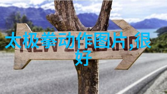 拓展太极境界融合其他武术元素提升实战能力