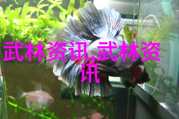 武林门派探秘江湖中的神秘世界