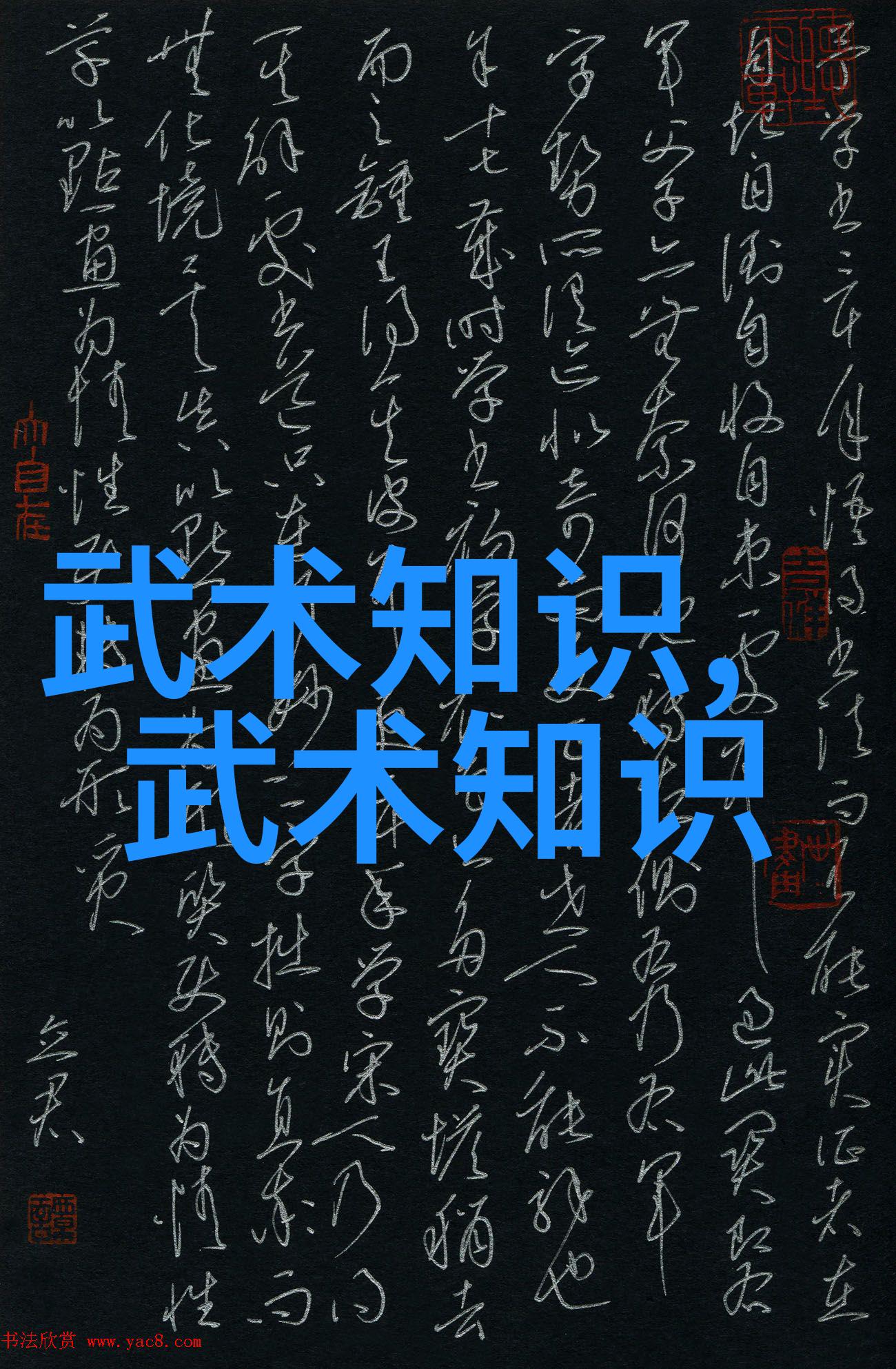 简易24式太极拳中人物的内劲形成与推手中的作用分析-徐晓林