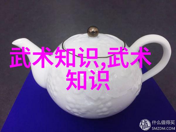 武功秘籍大全 拳法太极拳与气功的精髓