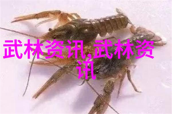 武林秘籍唐手绝学的传说与实践