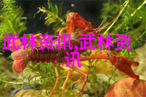 十三式太极拳分解动作我是如何学会每一个步伐的